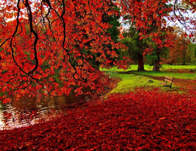 Xin cập nhật thông tin............................